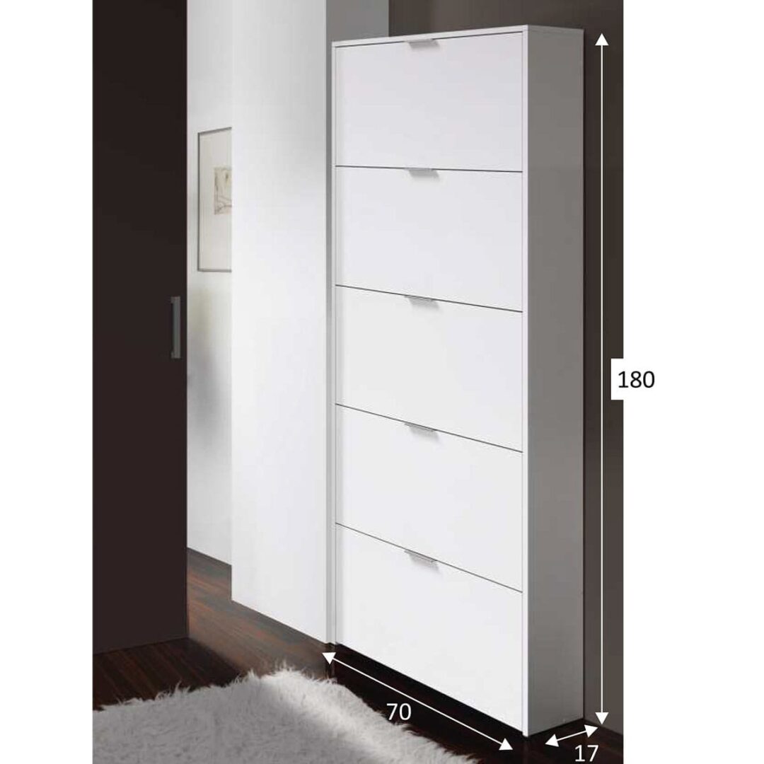 Zapatero Vertical 5 Puertas - Imagen 4