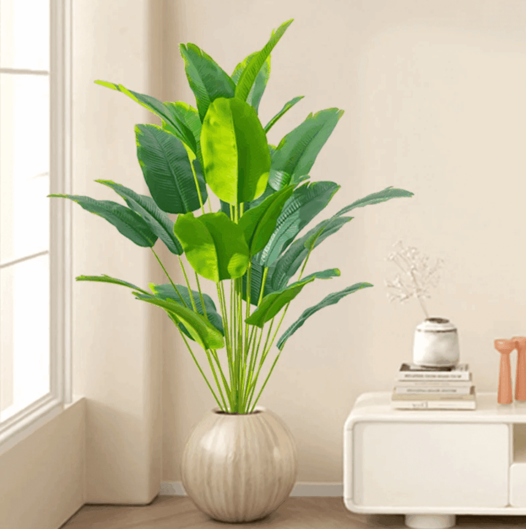Palmera Tropical - Imagen 2