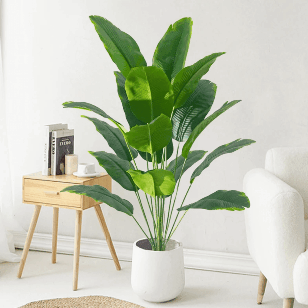 Palmera Tropical