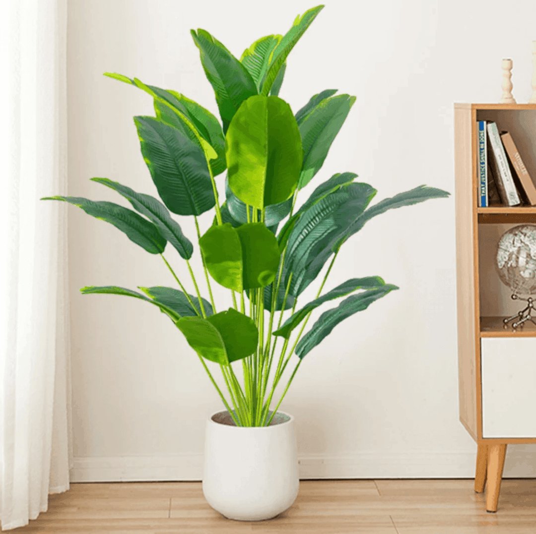Palmera Tropical - Imagen 3