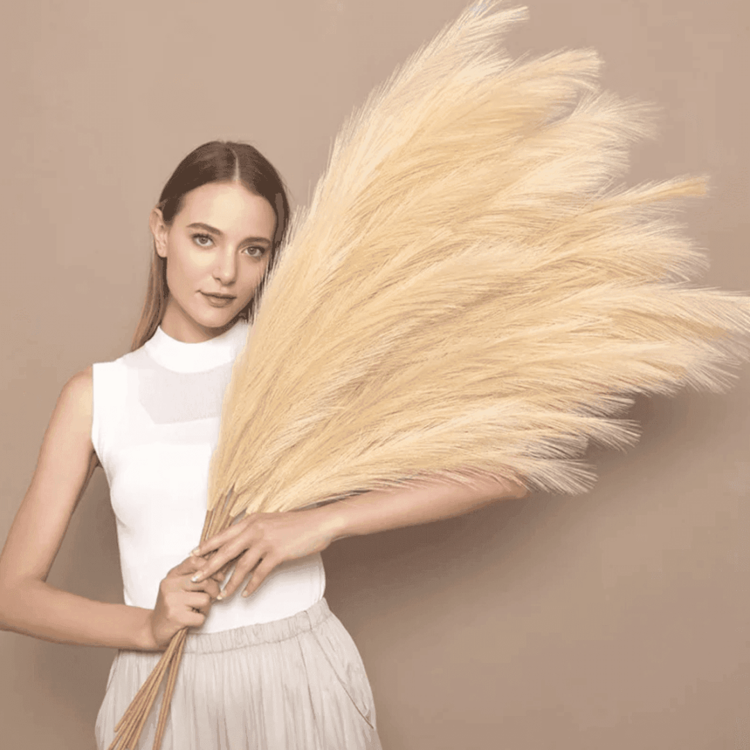 Plumas decorativas