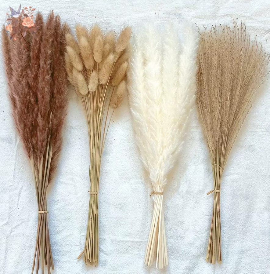 Ramo de Flores Secas de Pampas Naturales – Decoración Boho para Hogar, Jarrón o Bodas