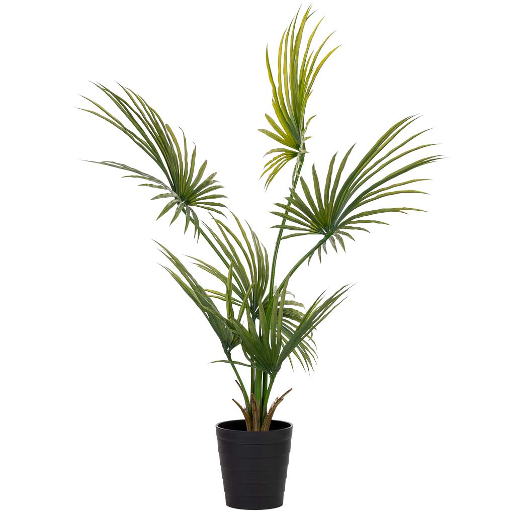 Palmera kwai artificial decorativa con 6 hojas
