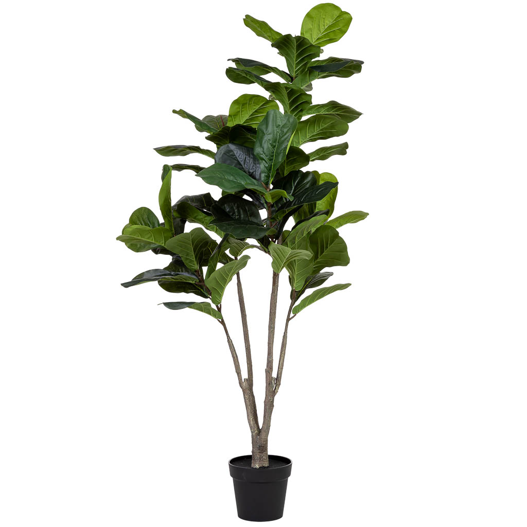 Ficus liata verde decorativa artificial con 66 hojas