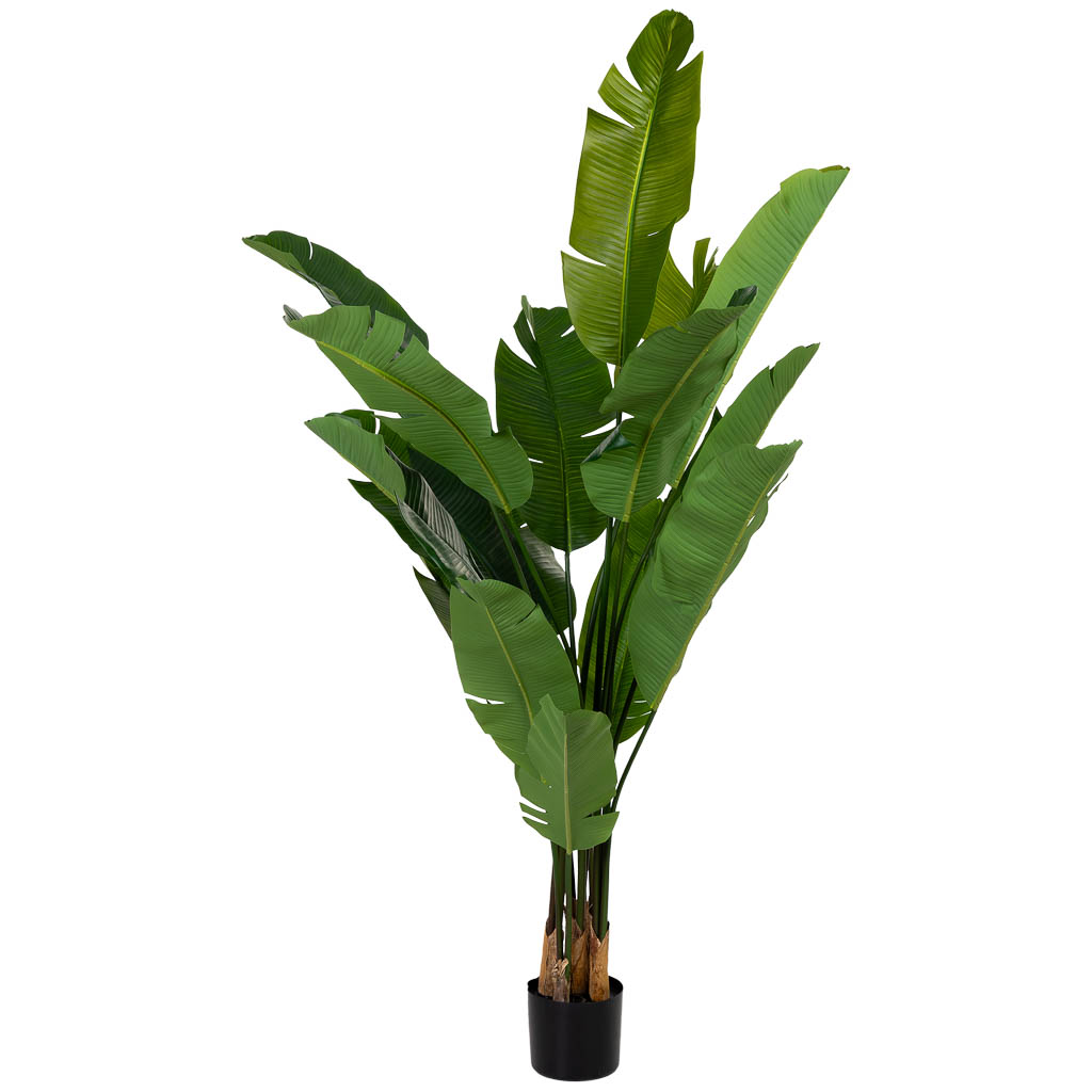 Sterlitzia artificial decorativa verde con 16 hojas